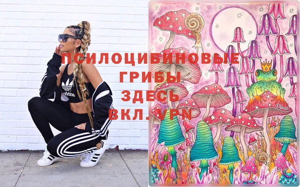 соль курить ск Надым